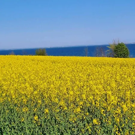 8 Person In Sydals * Sarup